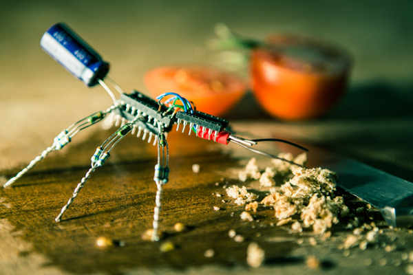 daily_contaminations1